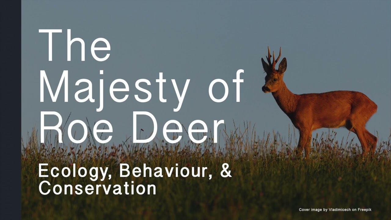 Part I The Roe Deer Explored - The Majesty of Roe Deer: Ecology, Behaviour, and Conservation
