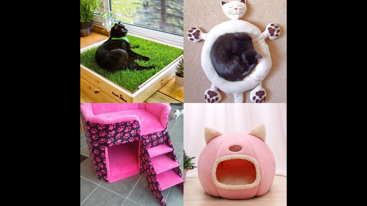 اروع ديكور لأشجار وبيوت قطط arbre et accessoires pour chat #فيديومخصص لمحبي القطط 😺🐾