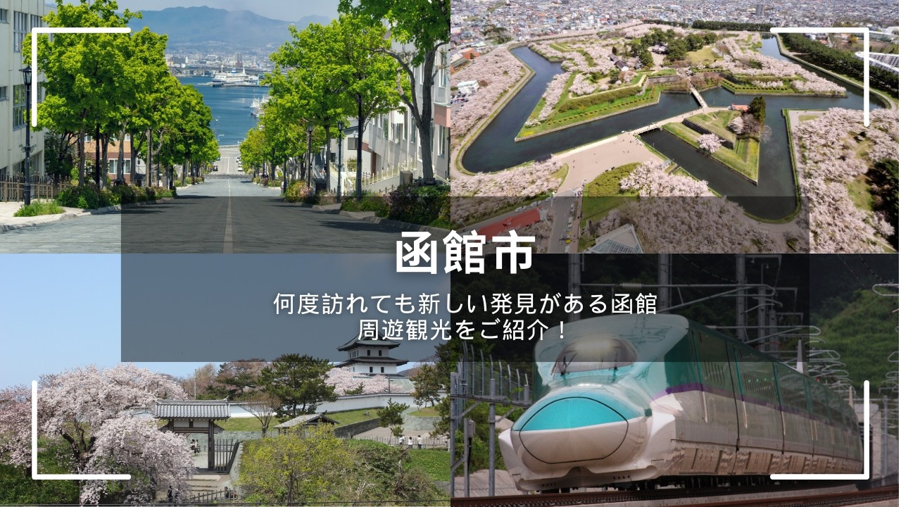 【函館市】～北海道観光情報交換会～注目トピックスをご紹介！！【2026年3月度】