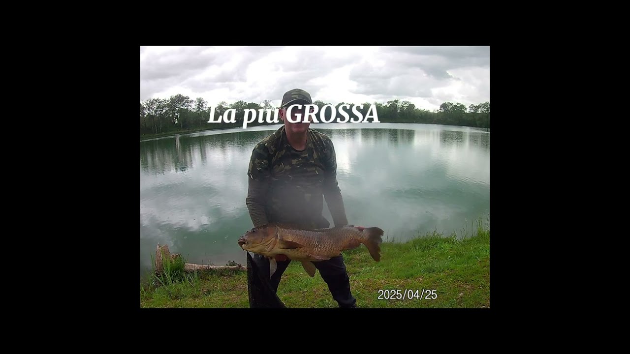 25/4/25 - Lago Barcaccia - Oggi canne piegate, con GROSSE pescate. Carpe e Storioni (Sturgeon Carp)