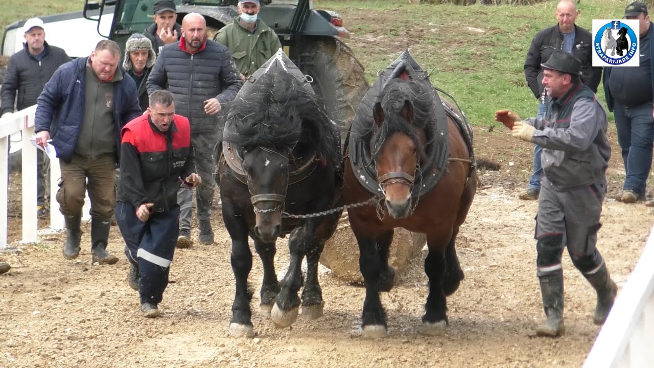 -Rubin i Vihor ponos su Grmeča i njihovog vlasnika Adnana Medića -