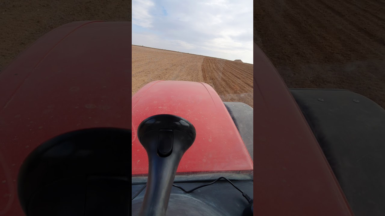 Sarıkaya Mahallesi Kaz ayağı