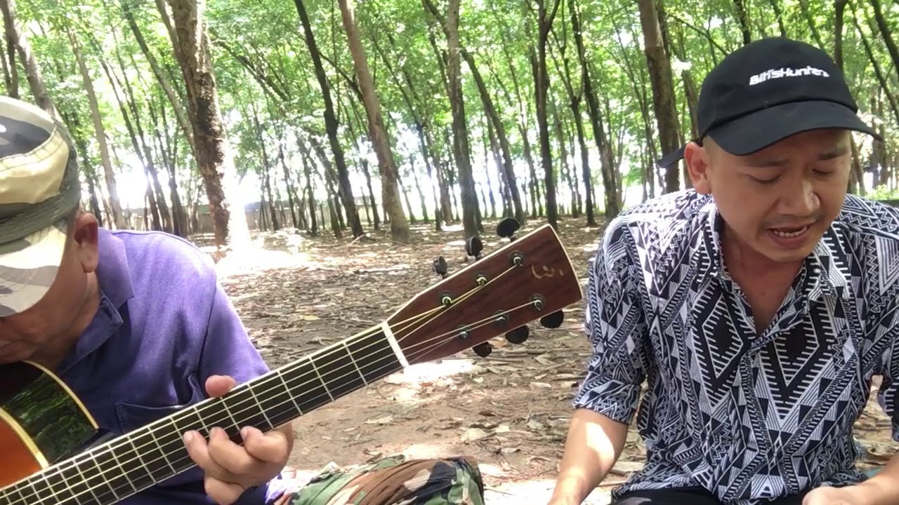 Chuyện Một Đêm Khuya | Hoàng Thảo