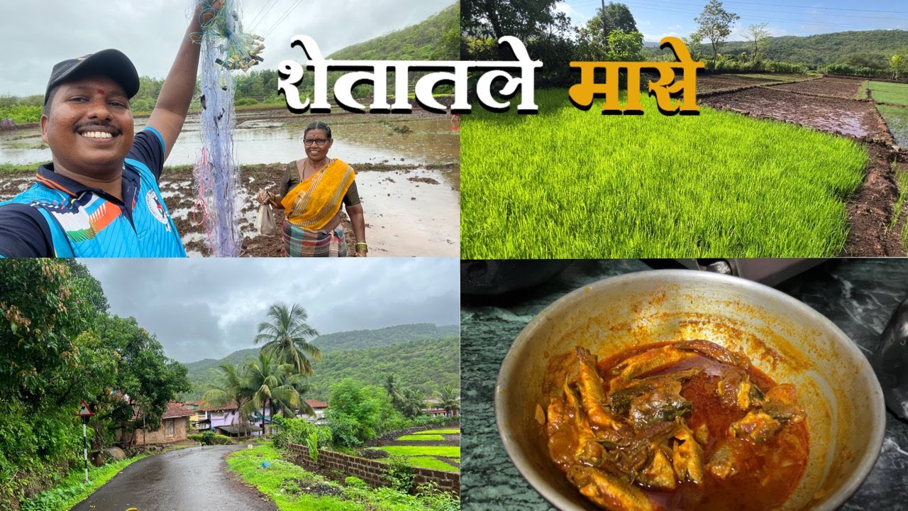 शेताची फोड करताना शेतात पकडले बोय मासे 😍| आईने बनवला माशांचा सुक्का | S For Satish | Ambavali, Kokan