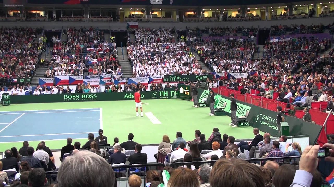 Novak Djokovic vs Radek Stepanek, Davis Cup 2013 final, Serbia - Czech Republic
