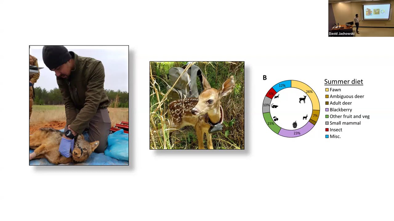 Alex Jensen Seminar - Mammalian range expansion