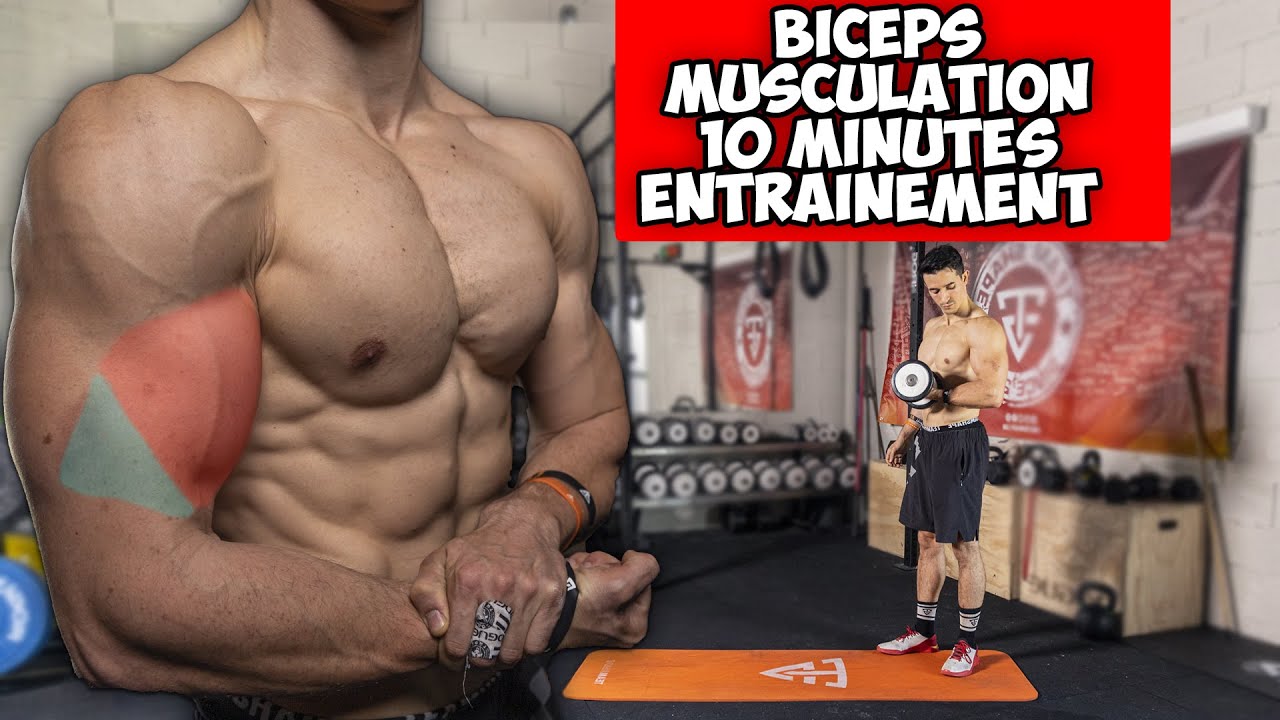 GROS BRAS MUSCULATION ENTRAINEMENT 10 MINUTES !