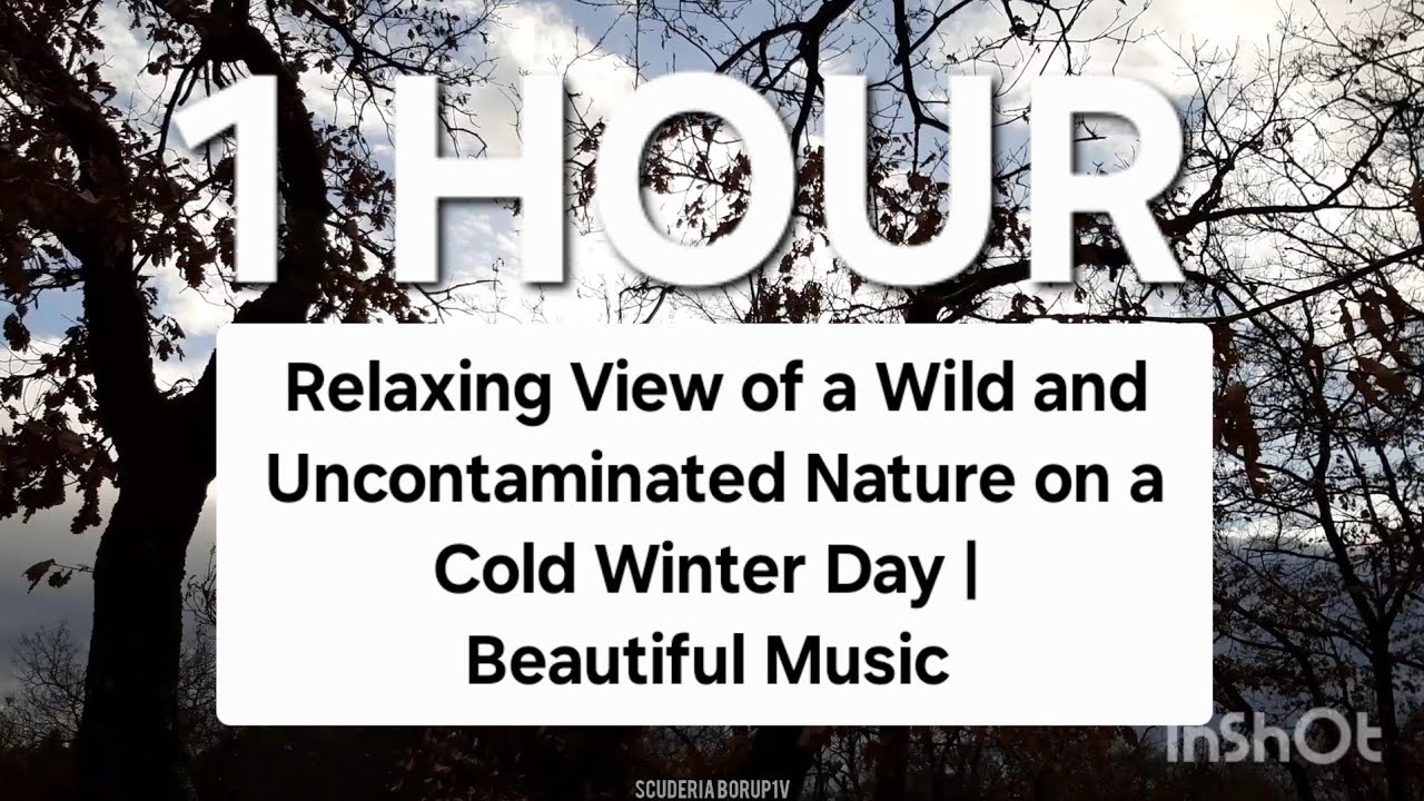 1 HOUR | Relaxing View of Wild and Uncontaminated Nature on a Cold Winter Day | Beautiful Music | 