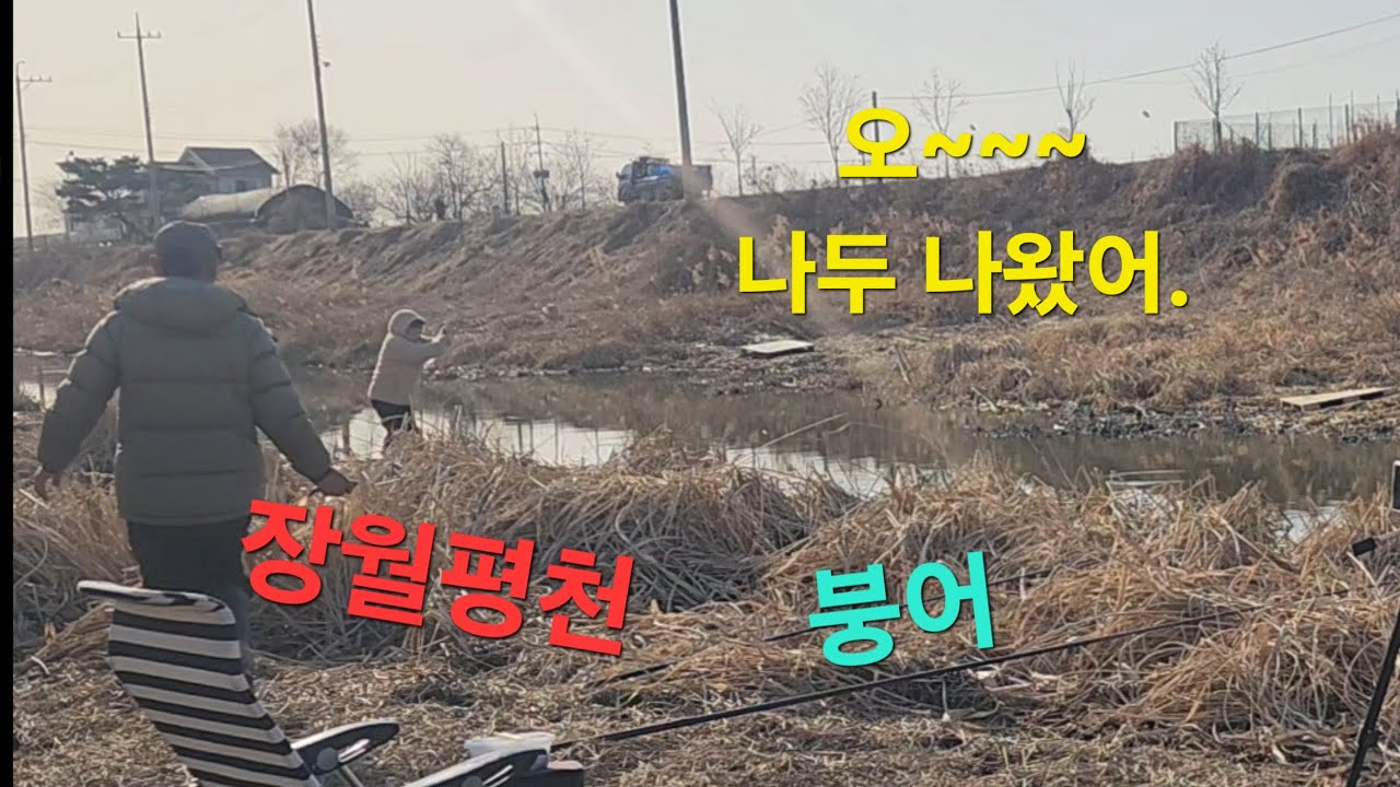 장월평천 붕어낚시 큰 녀석 보러 왔는데~~~#붕어낚시 #노지낚시 #수초낚시 #fishing 