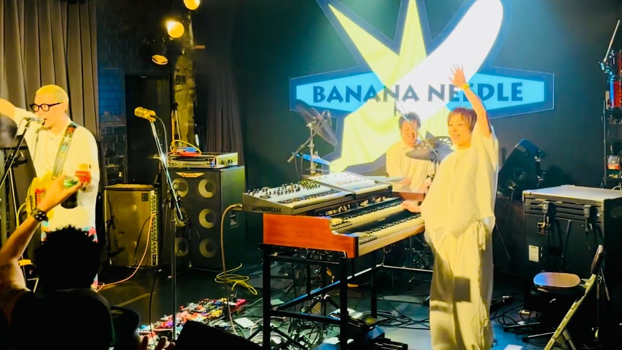 BANANA NEEDLE / ミツバチ / HAMMONDORGAN band