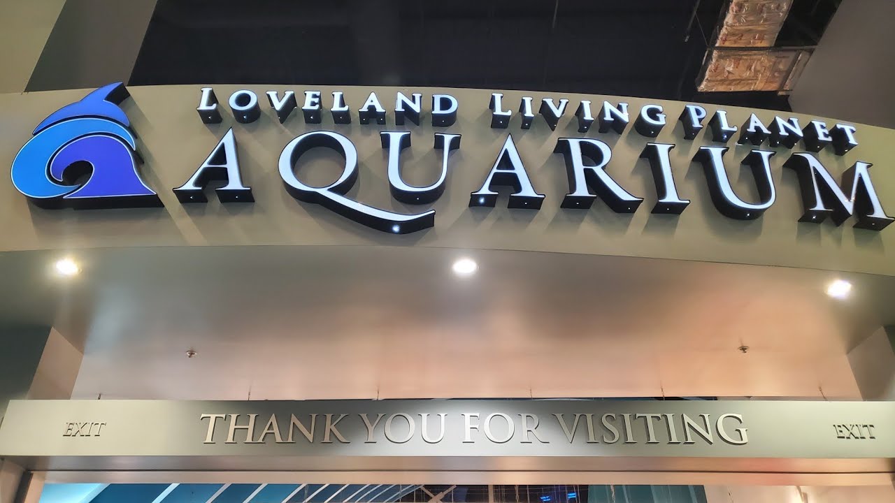 walk through of the Loveland living planet aquarium part 3