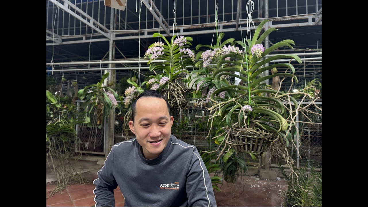 30/12 VÀO MUA HÀNG NÀO CÁC CỤ 0983270995