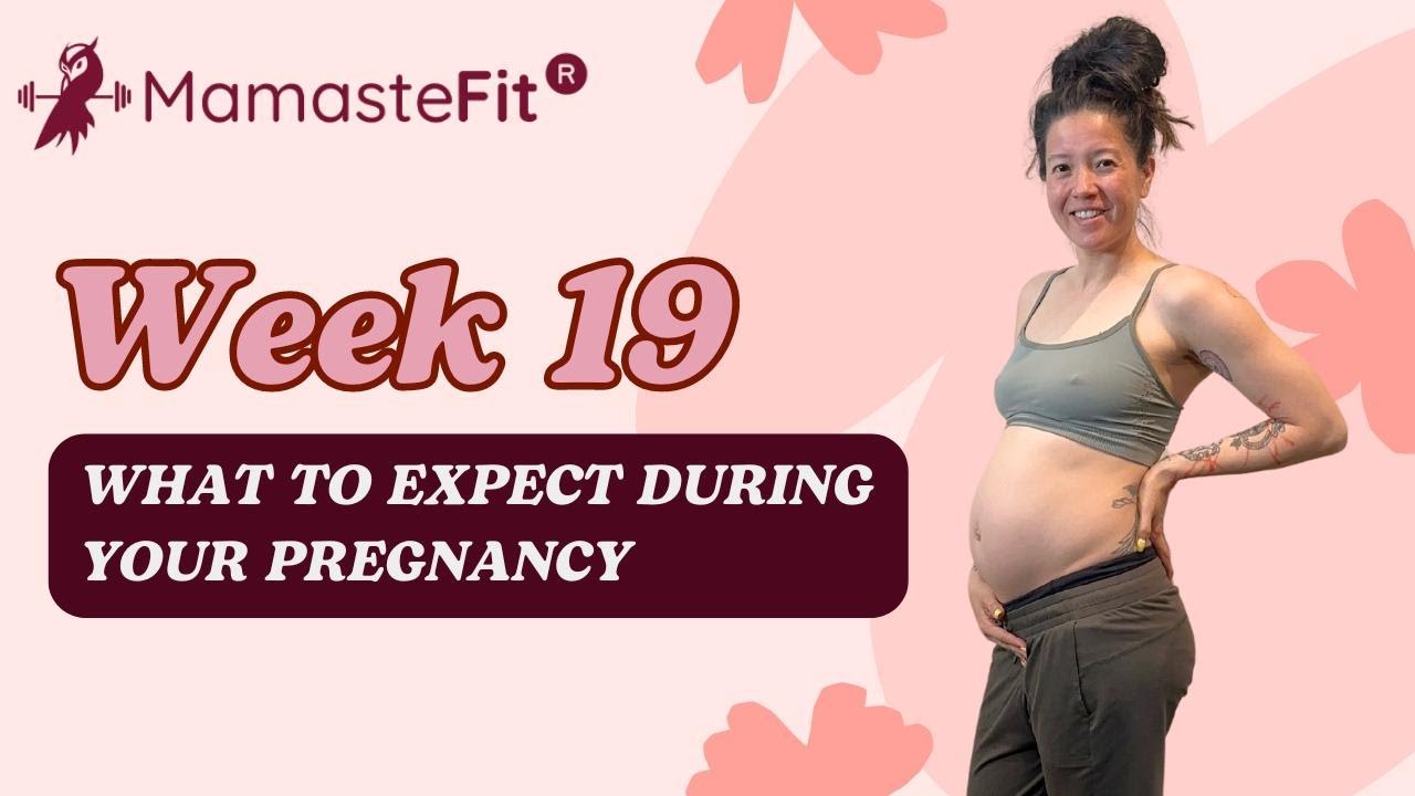 Week 19: What to Expect During Your Pregnancy + Gina's Pregnancy Journey!
