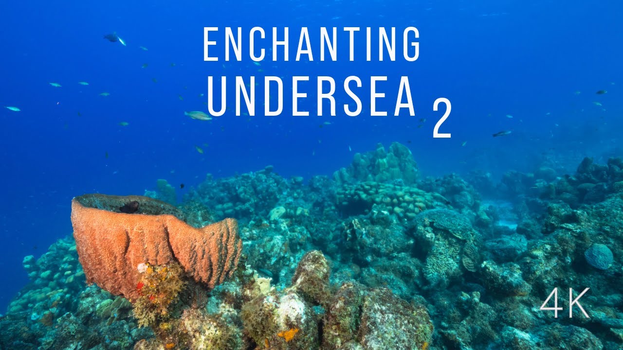 Enchanting Undersea 2 | a 1-hour 4K Undersea Film