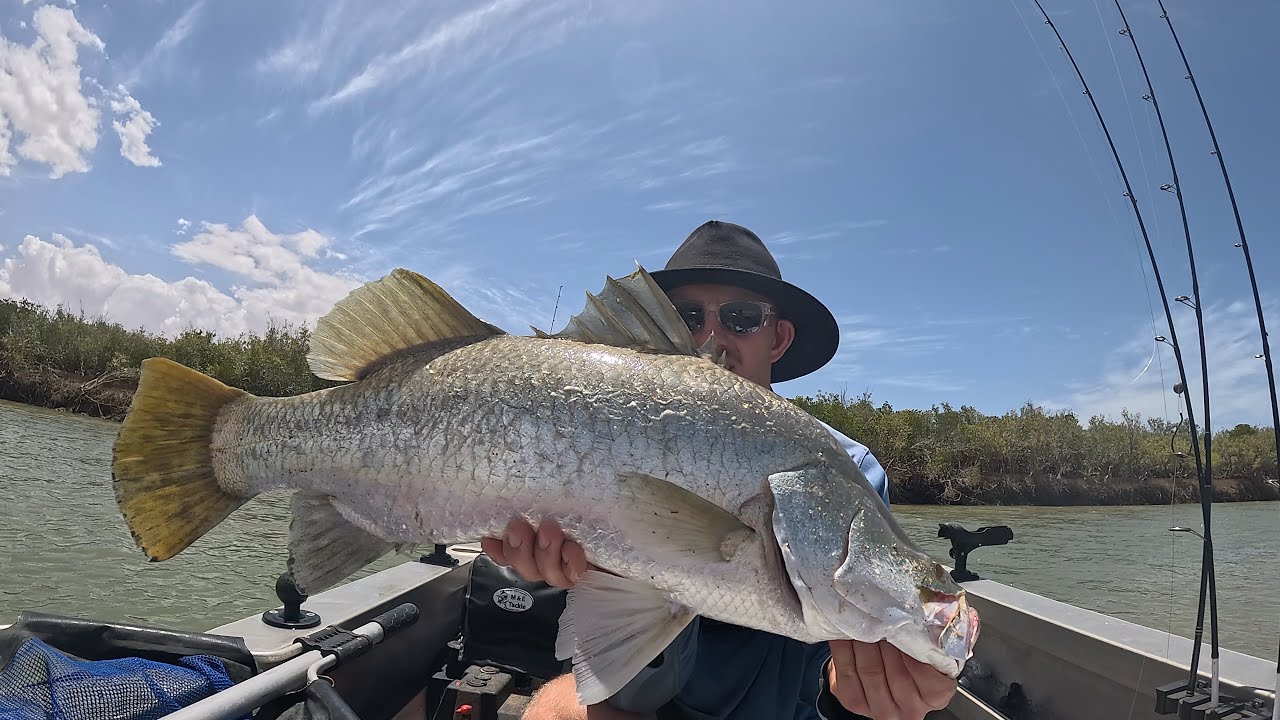 Самостоятельное исследование прибрежных ручьев в поисках баррамунди.