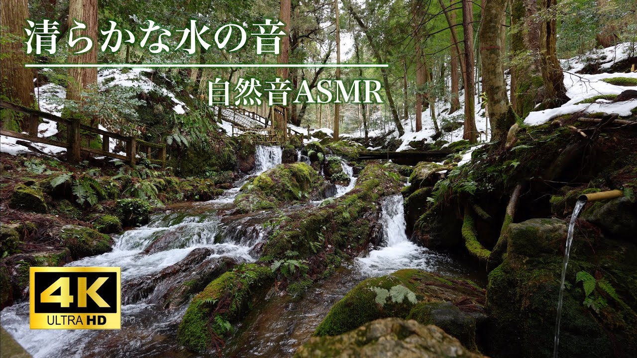 【自然の音 3h 4K】森の奥で湧き続ける清らかな水の音 nature sounds