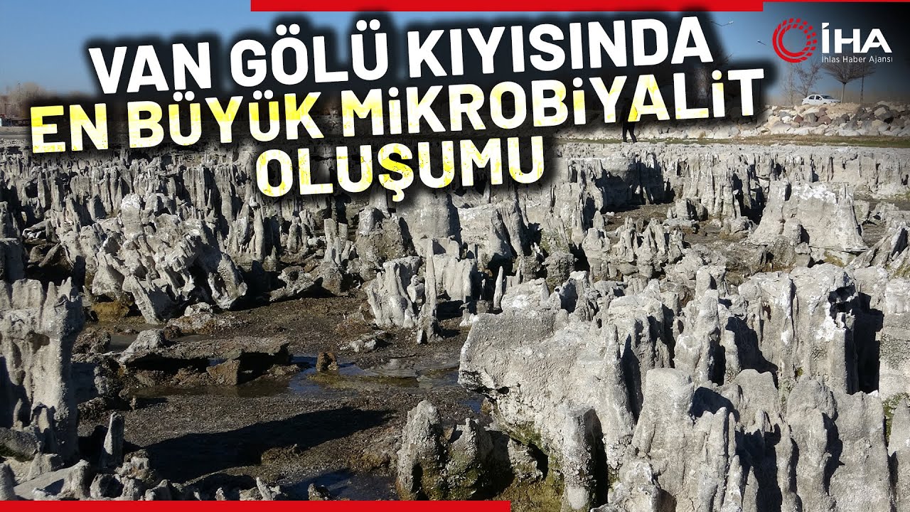 Dünyanın En Büyük Sodalı Gölü’nde Mikrobiyalit Oluşumuna Rastlandı