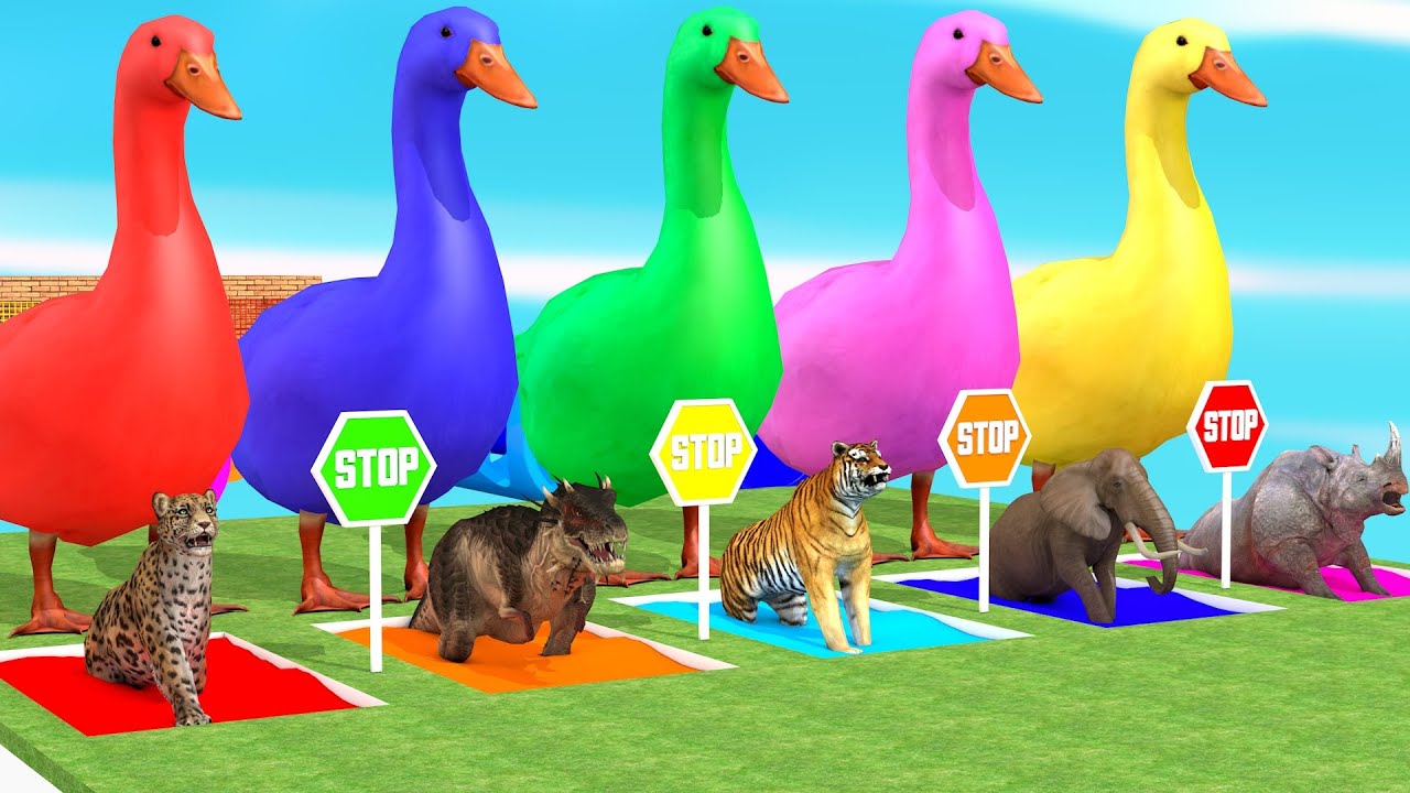 Long Slide Game With Elephant Gorilla Buffalo Hippopotamus Tiger - 3d Animal Game - Funny 3d Animals