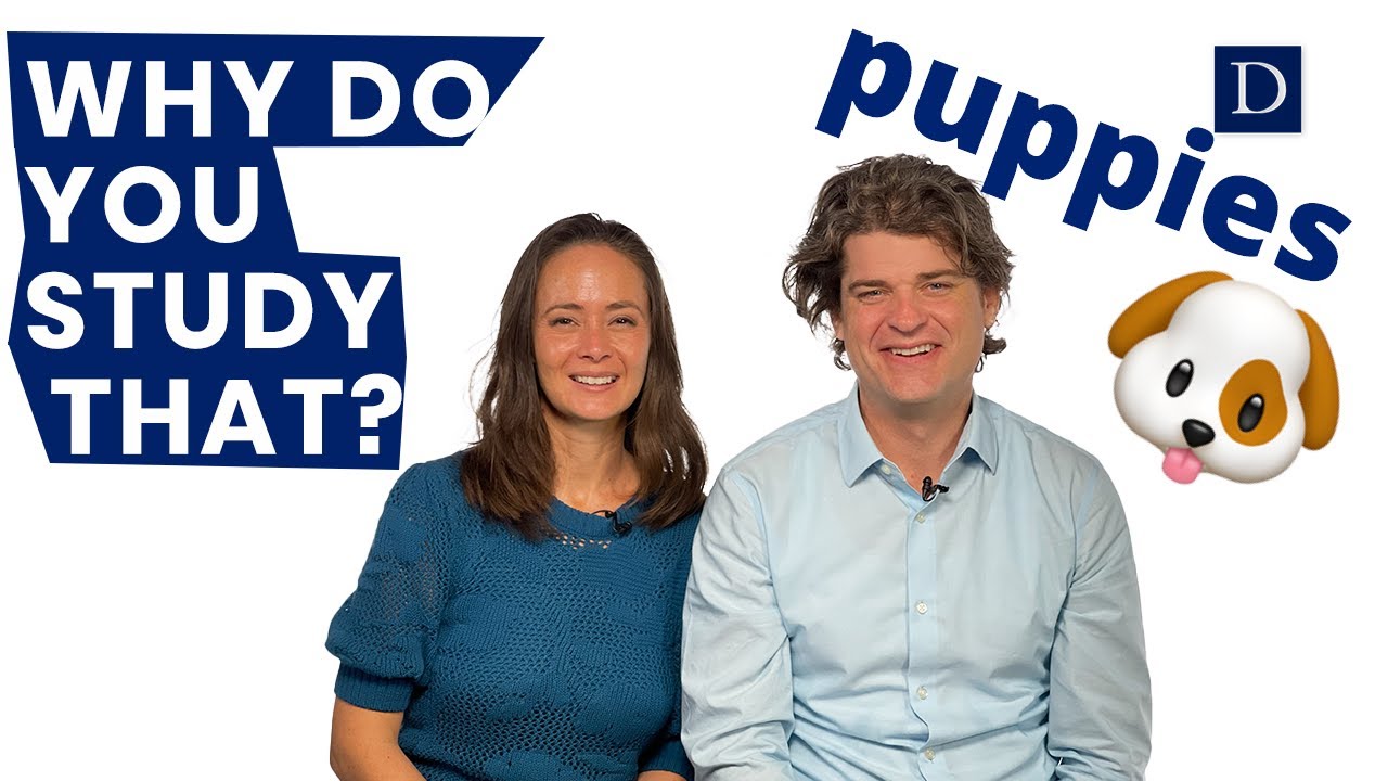 Puppies | Why Do You Study That?