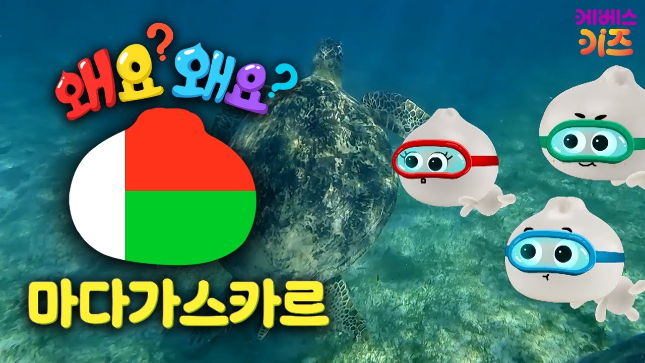 원숭이부터 고래, 거북이까지! 신기한 동물의 나라ㅣ마다가스카르ㅣ왜요? 왜요? 궁금할 만두ㅣKBS 250710 방송