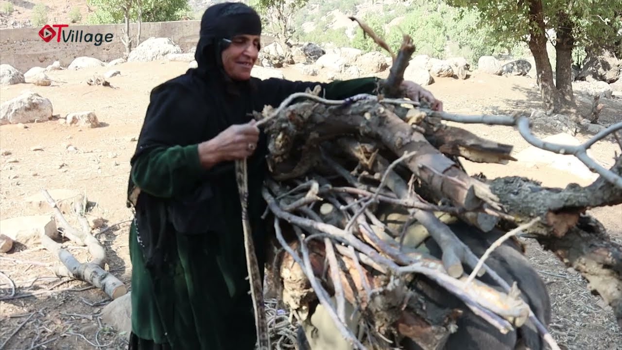 Preparation of firewood for fuel by nomadic women in Iran