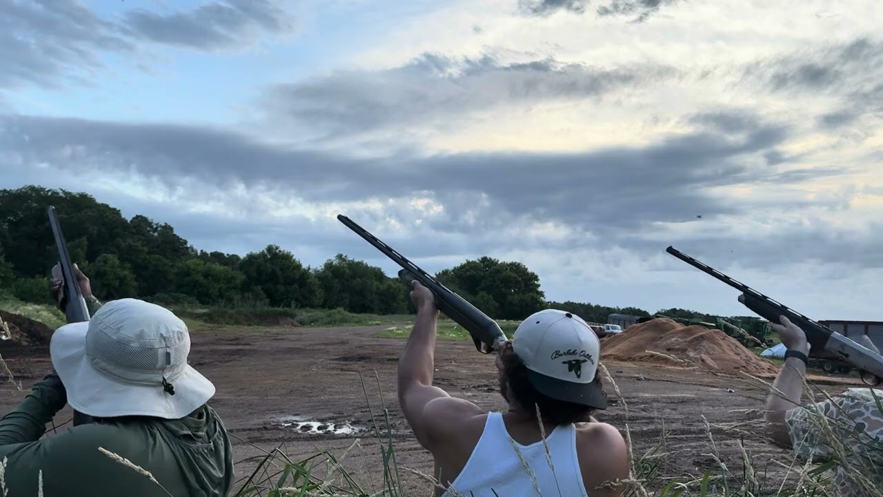 11 MINUTES OF STRAIGHT PIGEON KILLING