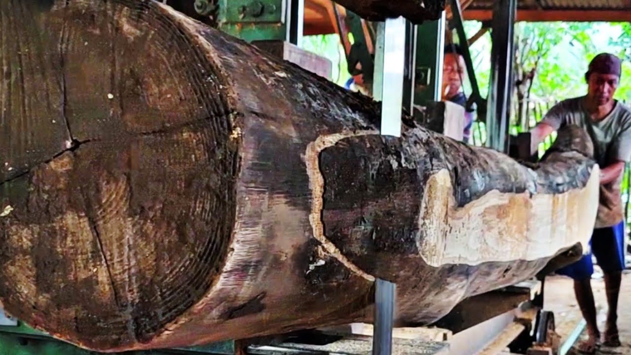 The charm of black teak wood, the result of decades of stockpiling, when sawn at the sawmill. 