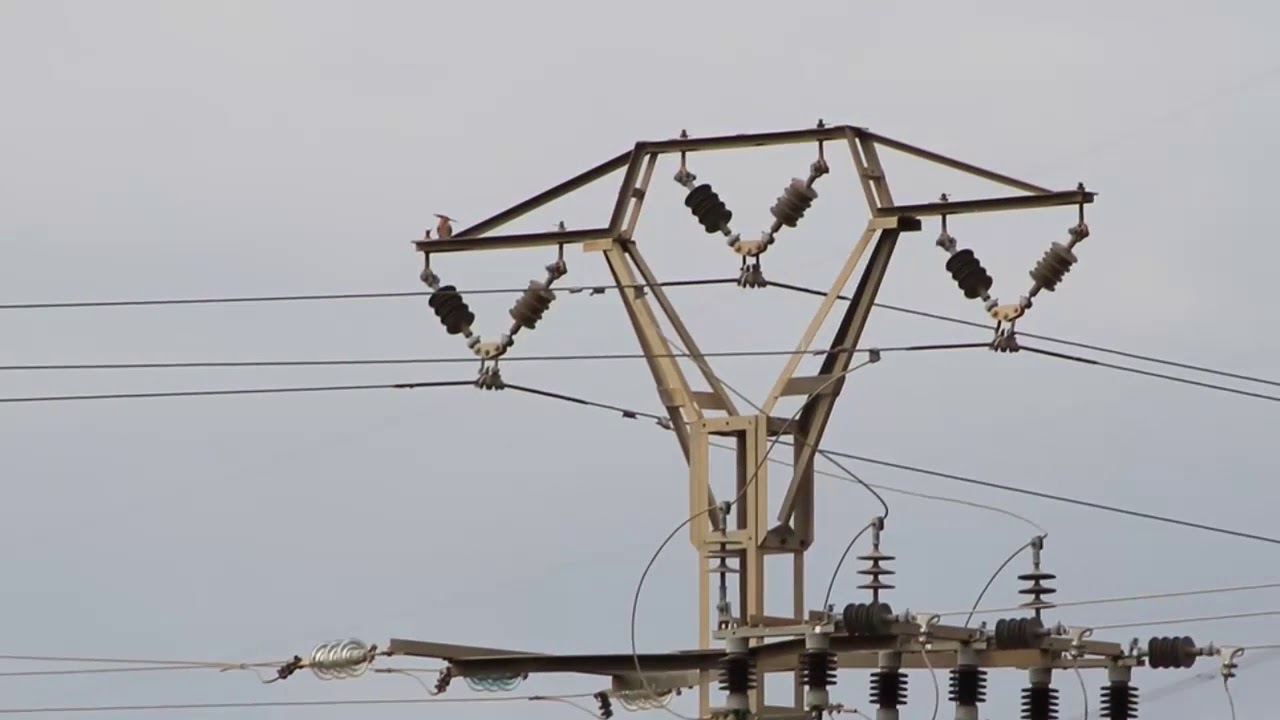 Elementos de las líneas aéreas de distribución |  | UPV