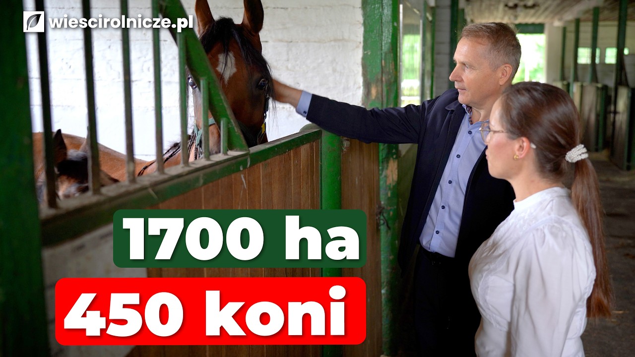 Konia sprzedali za 1,4 mln euro. To gospodarstwo i stadnina są dumą Polski