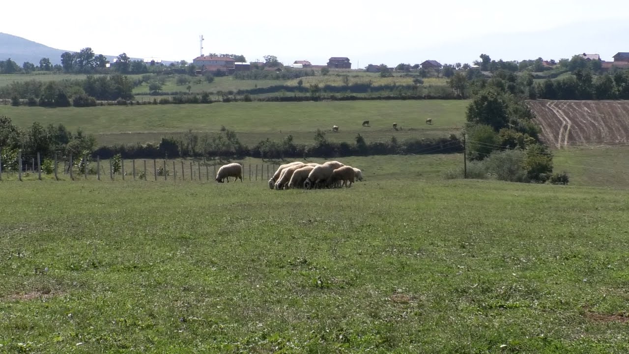 Banorët në fshatin Kralan krenohen me kontributin e dhënë gjatë luftës