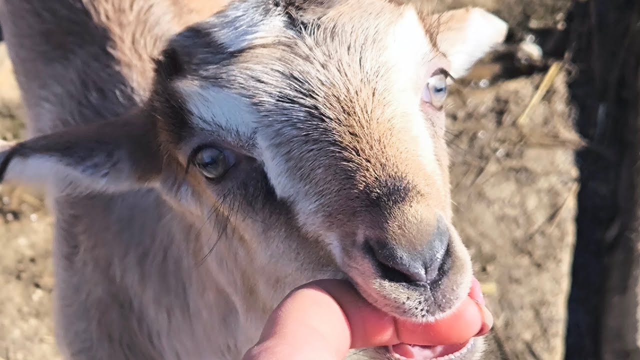 запрошую поспілкуватися друзі