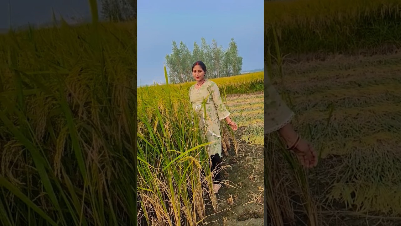 lebu na Debu baat jhad jaaye tola#viral #reel#Bhojpuri# song#