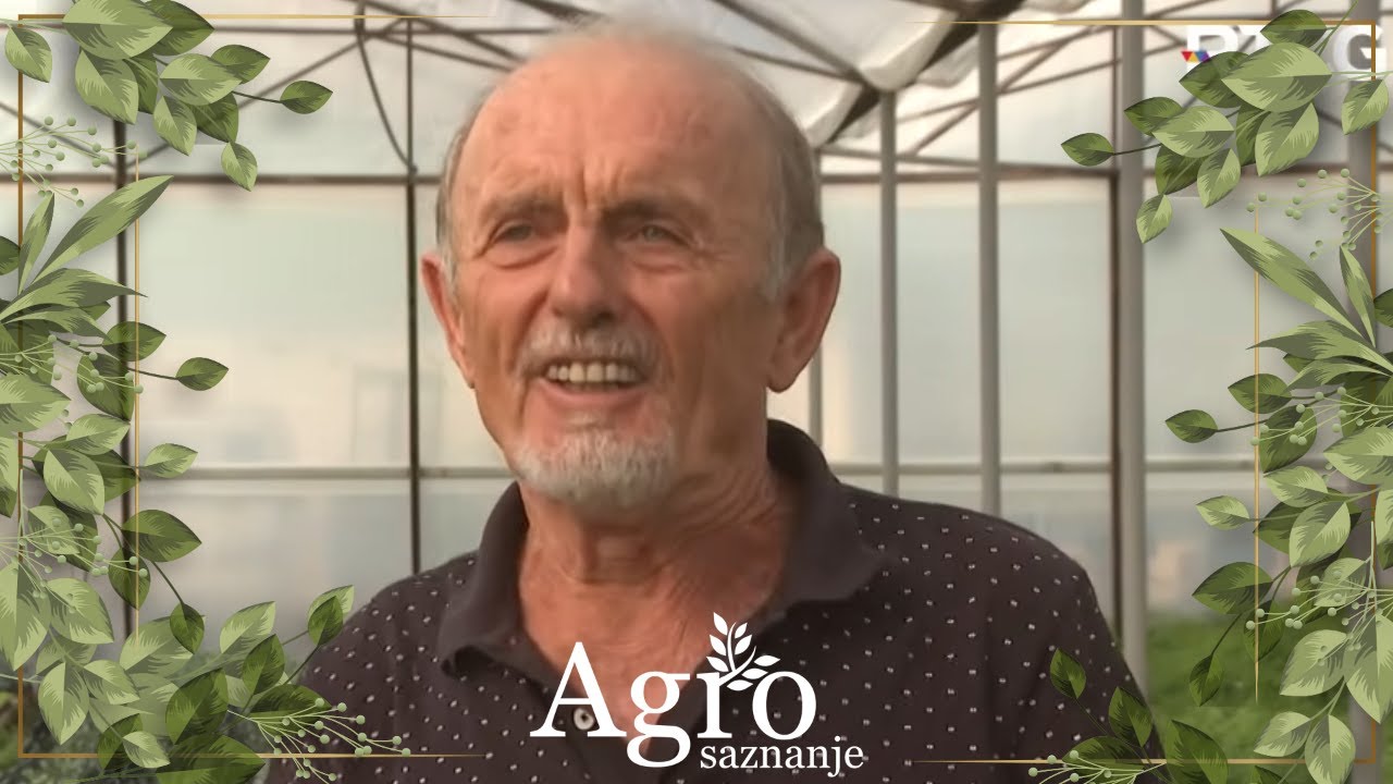 Dok šleperi povrća ulaze u CG roba iz Malesije i Zete propada  - AGROSAZNANJE