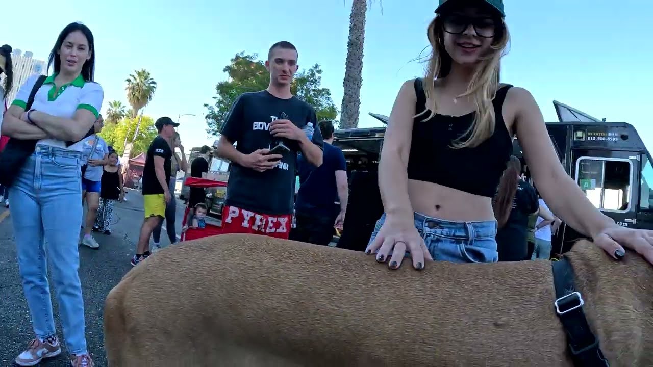 Cash 2.0 Great Dane at the Sherman Oaks Street Fair 2024 (11 of 14)
