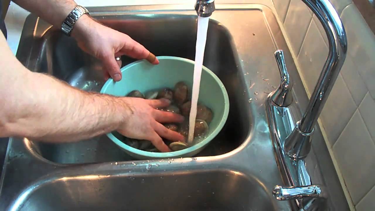 cleaning little neck clams
