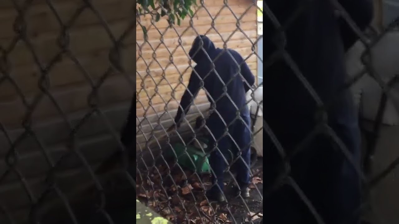 When hourly rate, is good enough! #shorts