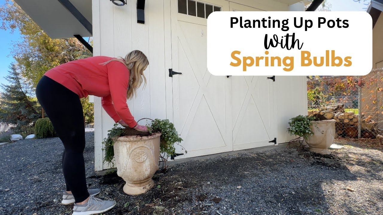 Planting Up Pots with Spring Bulbs! 💐 Daffodils, Tulips and Hyacinth.