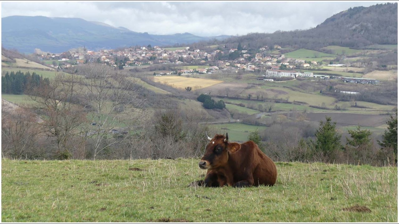 Randol, l'Abbaye, le village des Moines et bien plus encore