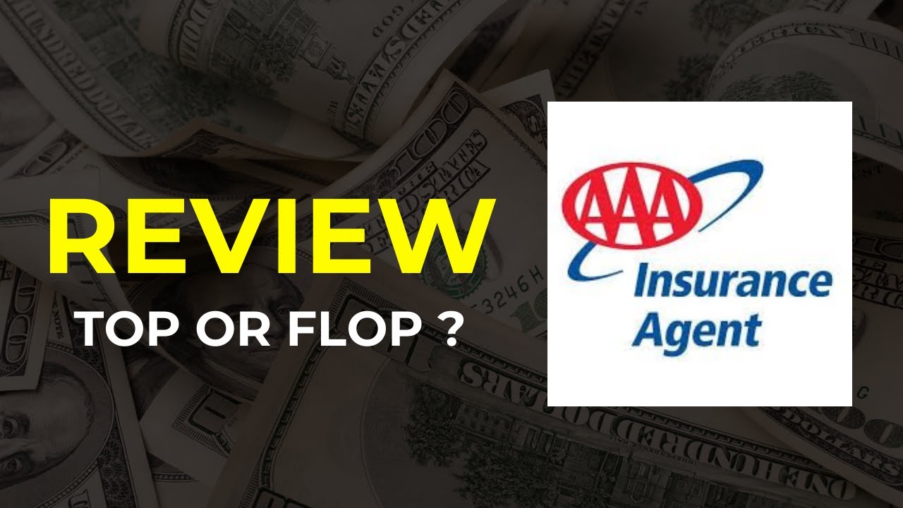 AAA PET INSURANCE: HONEST REVIEW (Pros & Cons)