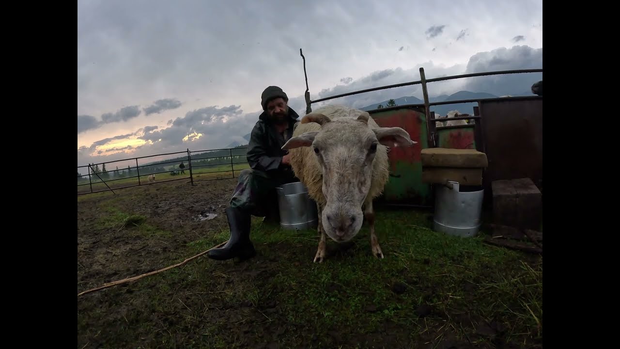 Noc na salaši 2