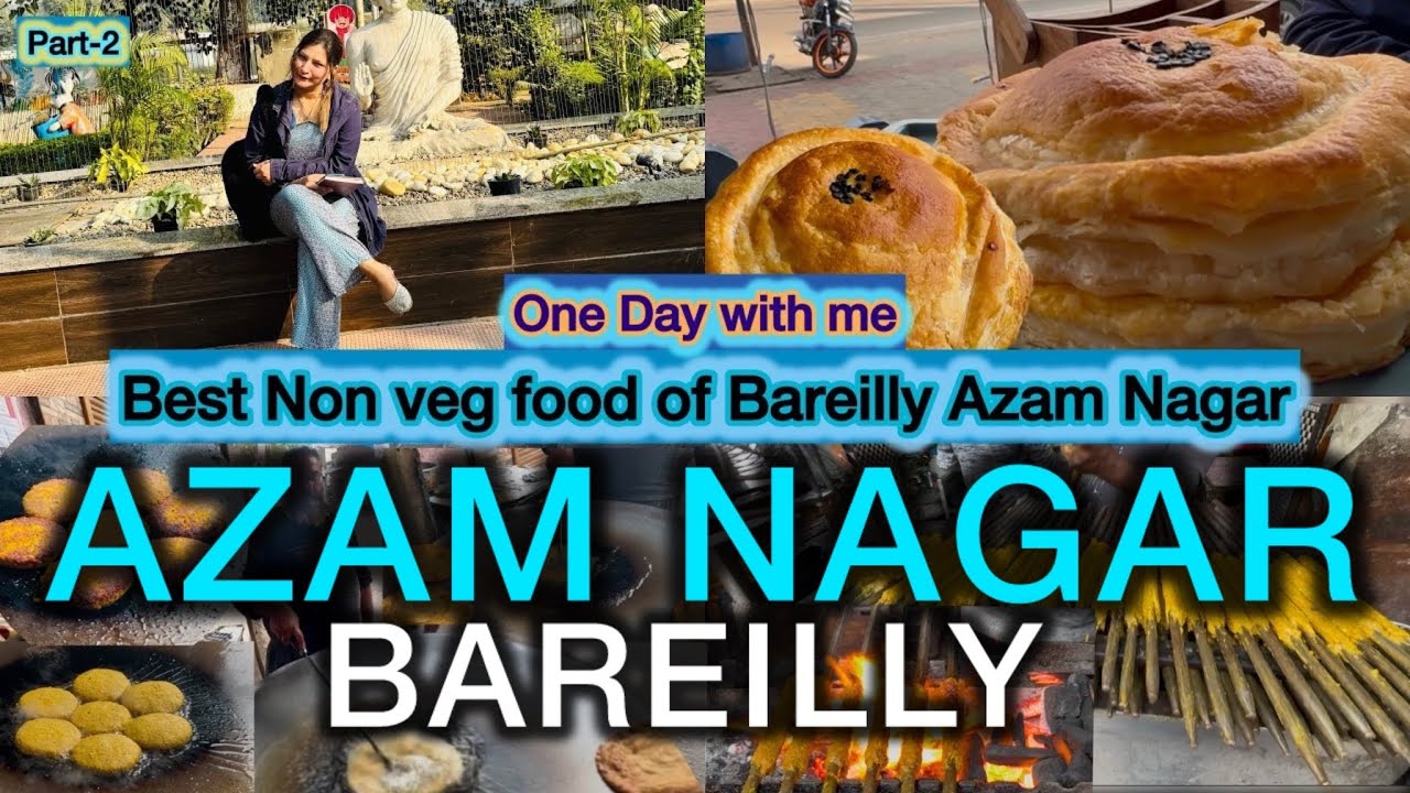 Best nonveg Food of Bareilly|Boston Bakery| Fern’s Bakery|Afsar Bhai Kabab|Taufeeq kabab#bareilly