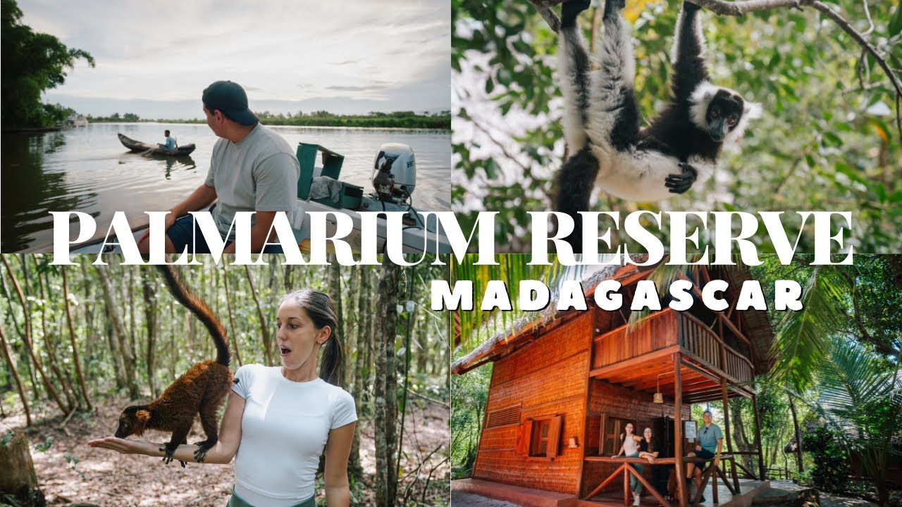 Palmarium Reserve - MADAGASCAR 🇲🇬