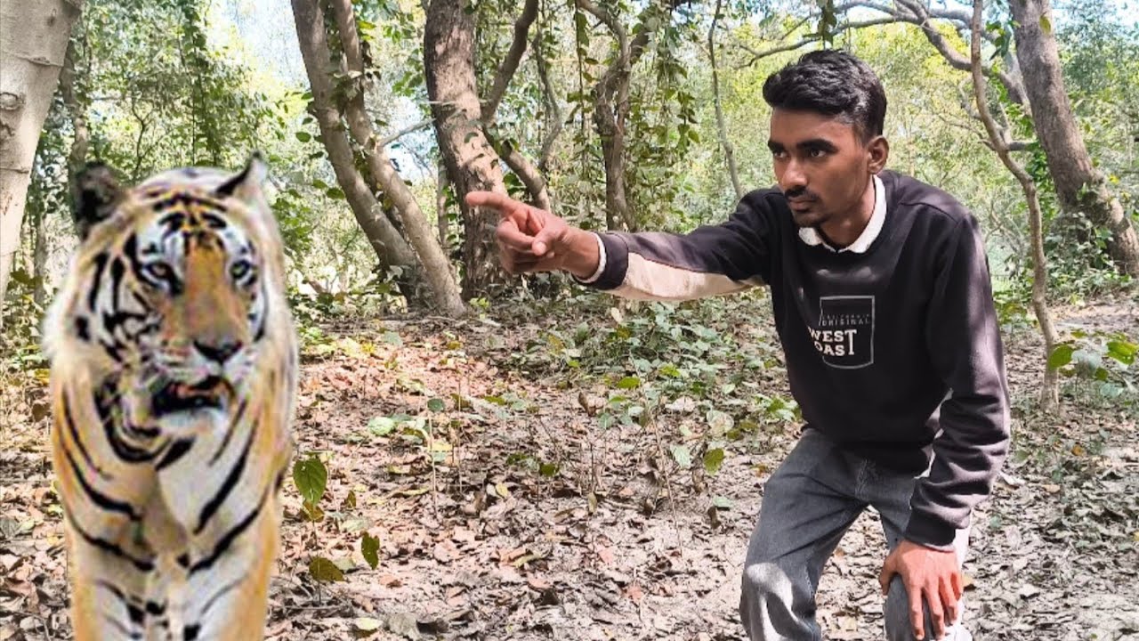 Tiger 🐯 attack 🦁🥲#amazing #cinematic #jungali #tiger #attack #viral #foryou 