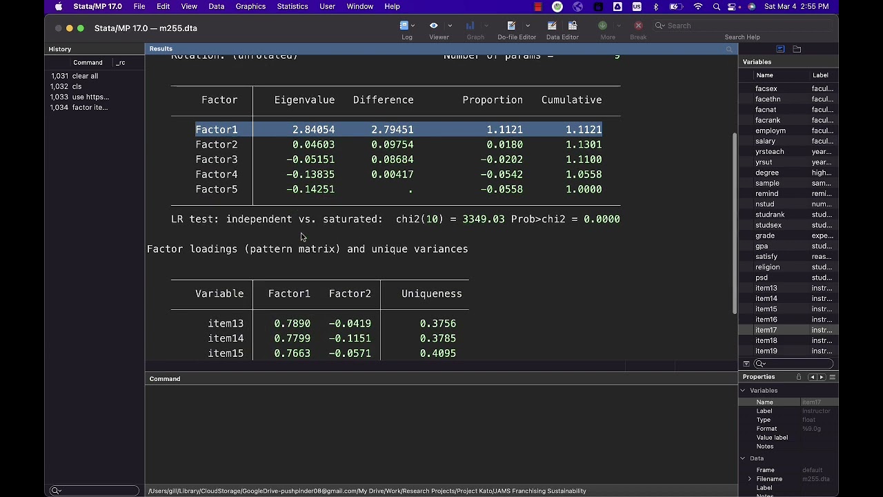 Factor Analysis STATA