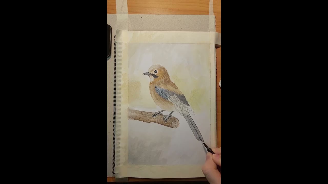 Bringing a Jay Bird to Life | Step-by-Step Watercolor Painting🎨🐦