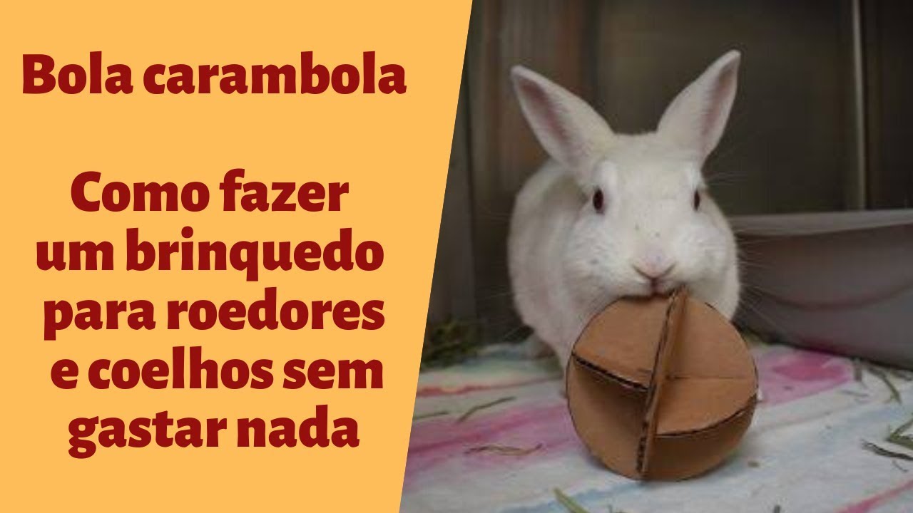 Bola carambola. Aprenda a fazer um brinquedo para roedores e coelhos sem gastar nada