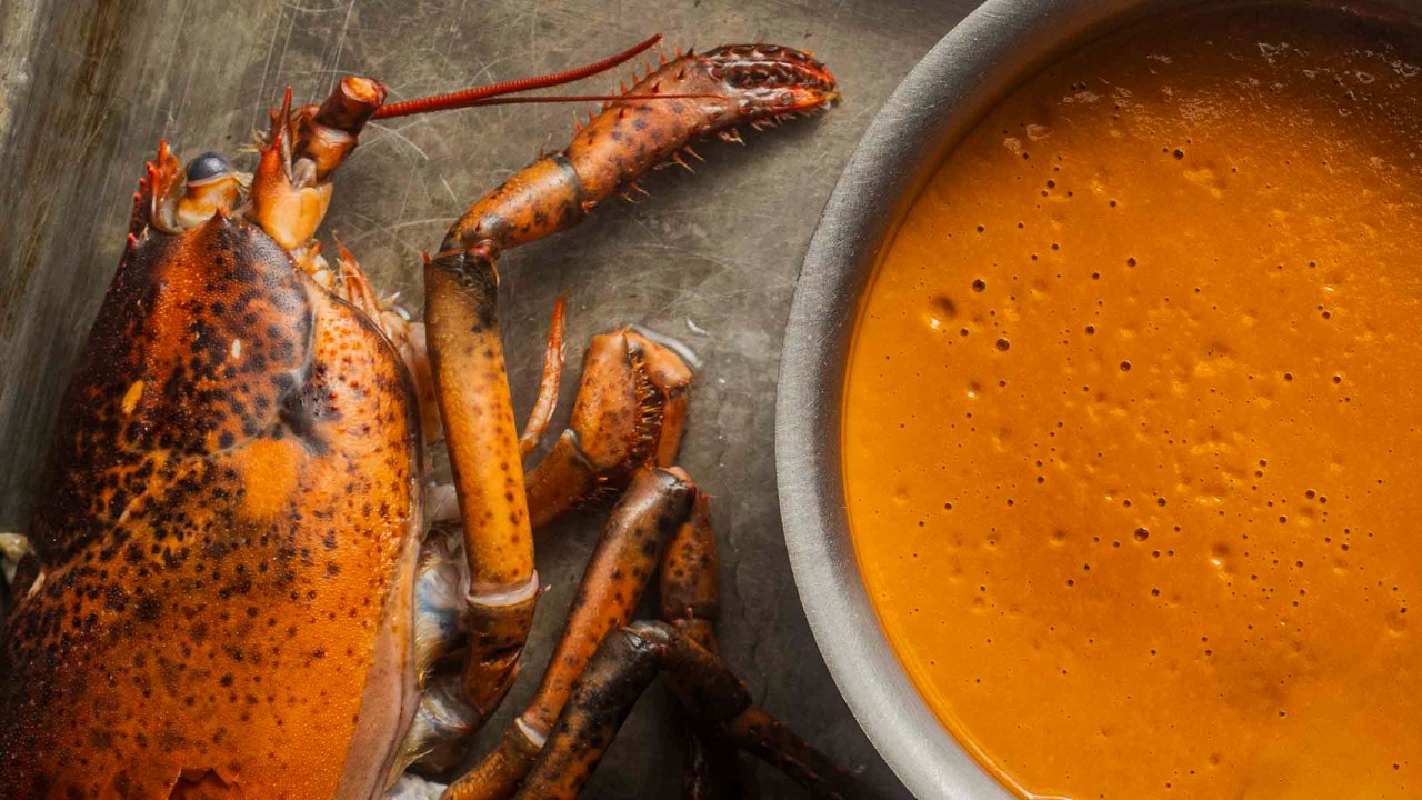 Shrimp, Crab, Crayfish, or Lobster Sauce (Made from Shells)