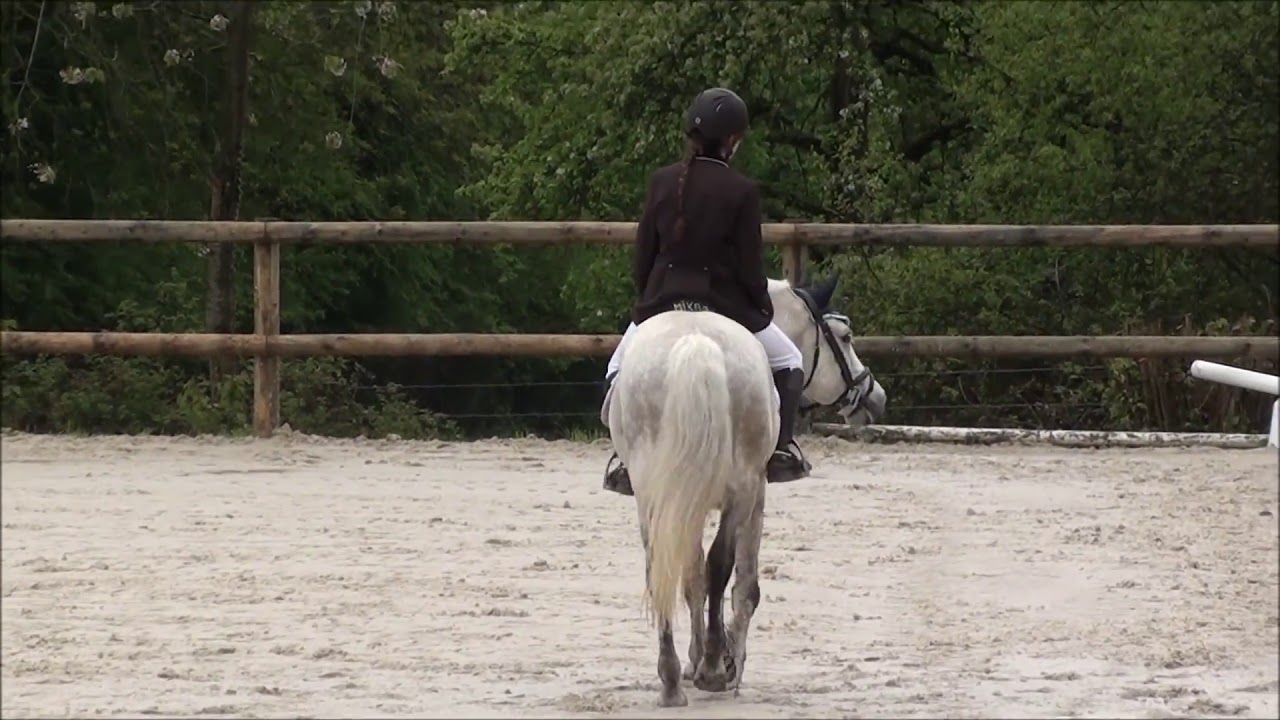 [Dressage] Je gagne la club 3 Grand Prix dressage !