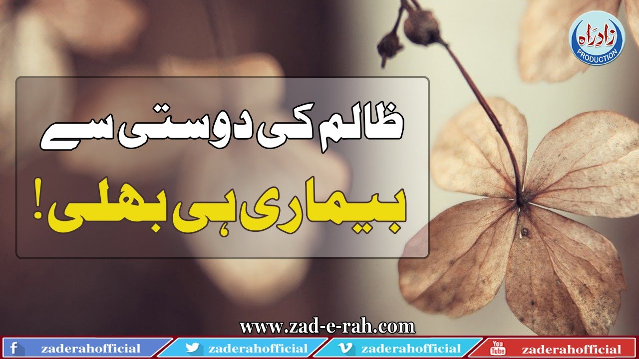 Illness better than a brutal's friendship | Zad-e-Rah Stories | 2020