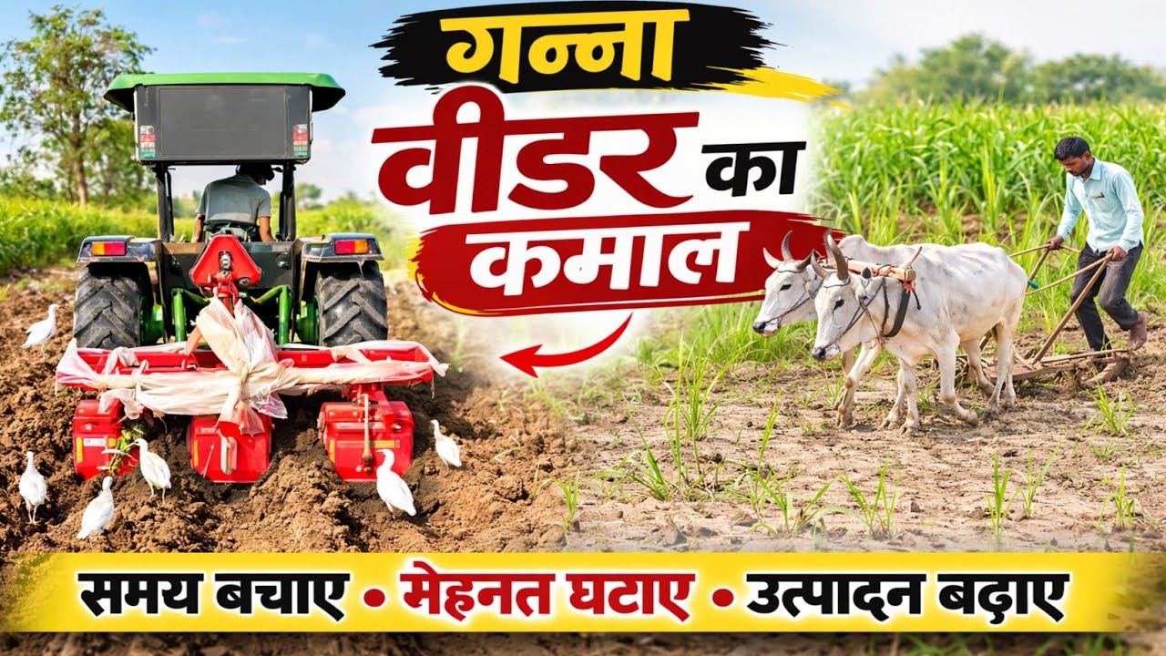 Ganna weeder Landagro sugarcane weeder 2026 Model🔥